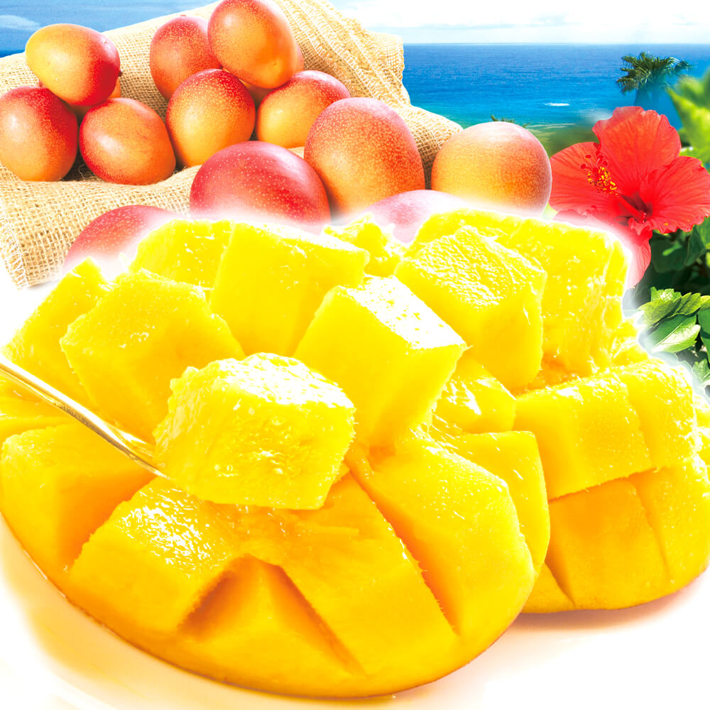マンゴー 1kg ふぞろいアップルマンゴー 宮崎産 完熟マンゴー 2~8玉 送料無料 食品