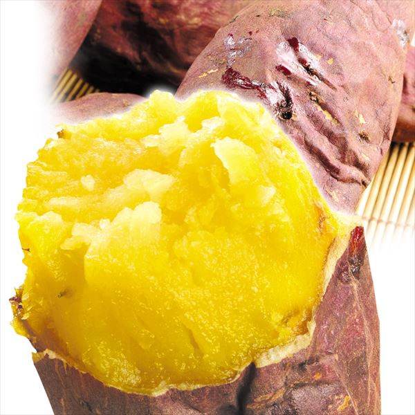 【2025年1月発送】さつまいも 5kg シルクスイート 熊本産 送料無料 食品