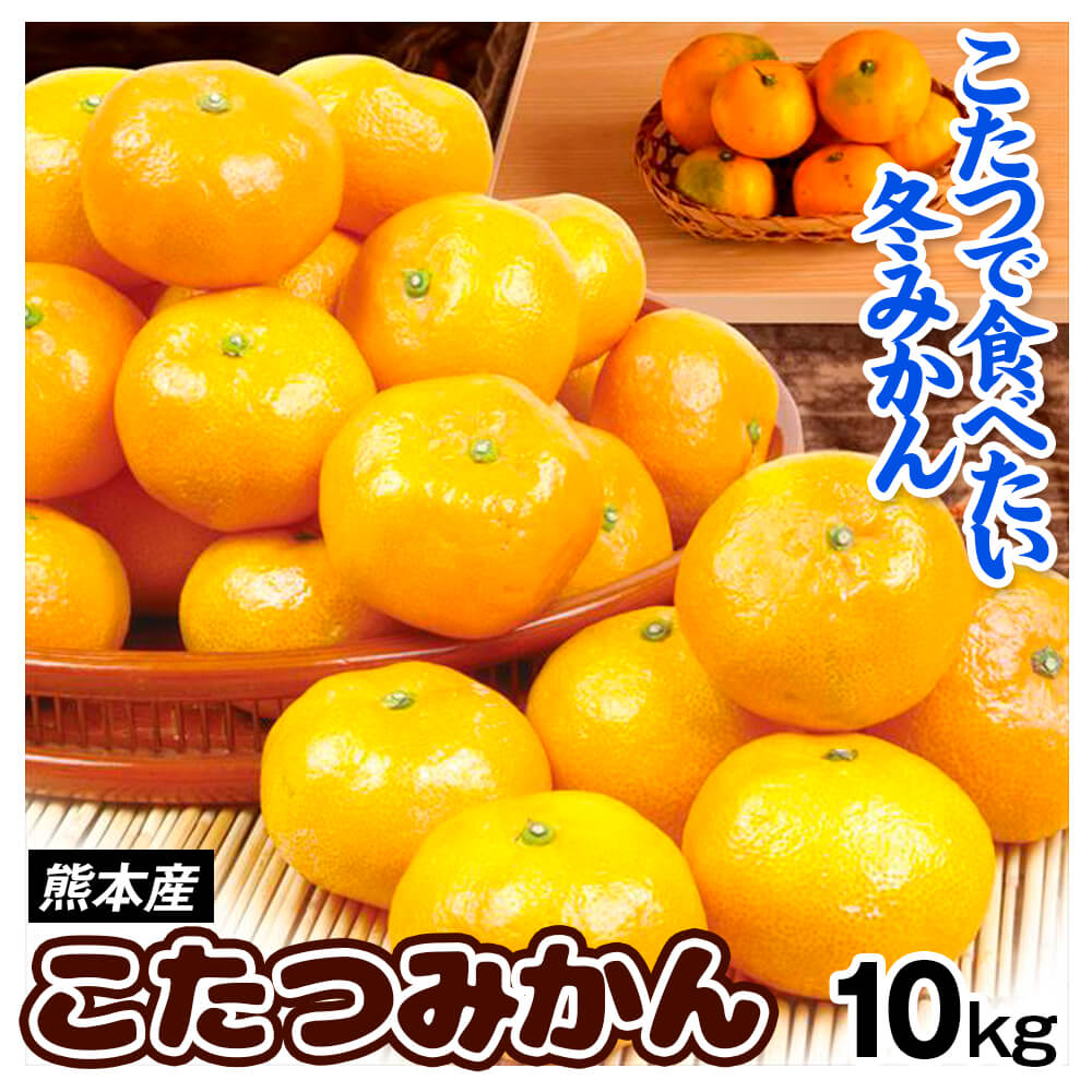 みかん 10kg こたつみかん 熊本産 送料無料 食品