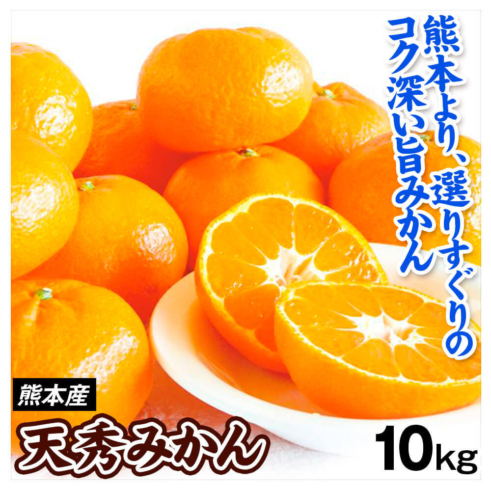 みかん 10kg 天秀みかん 熊本産 送料無料 食品