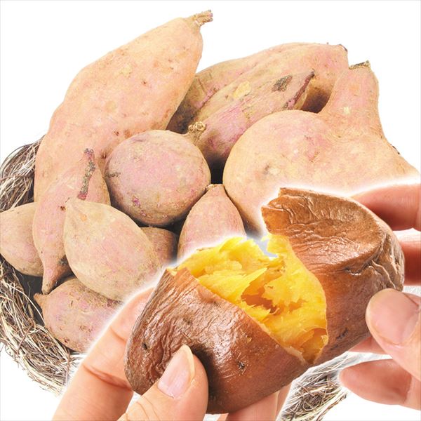 【2025年1月発送】さつまいも 5kg 安納芋 種子島産 訳あり 送料無料 食品