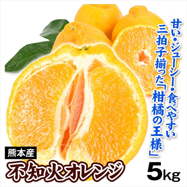 みかん 5kg 不知火オレンジ 熊本産 大特価 送料無料 食品