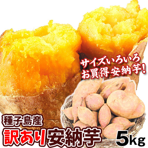 さつまいも 種子島産 訳あり 安納芋 5kg 送料無料 食品