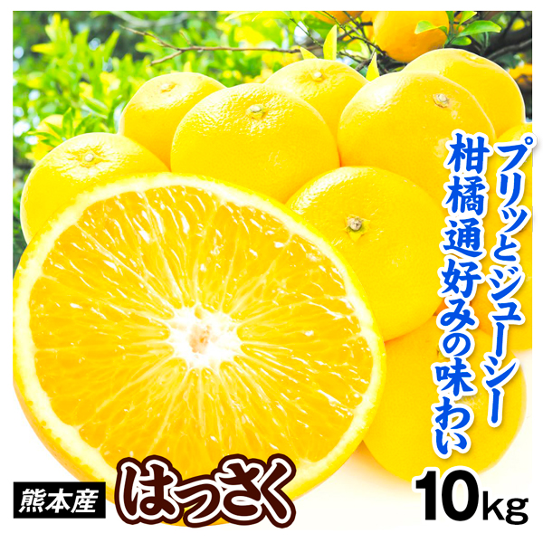 みかん はっさく 10kg 熊本産 ご家庭用 八朔 柑橘 送料無料 食品