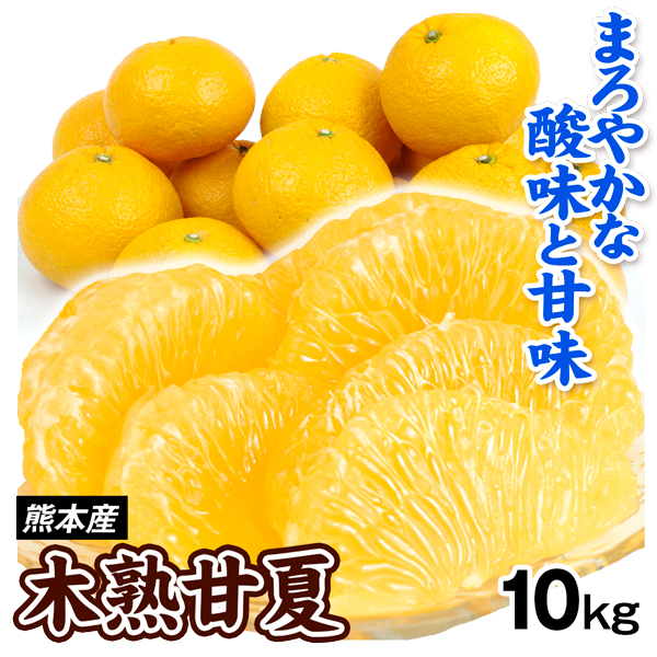 みかん 木熟甘夏 10kg 熊本産 ご家庭用  送料無料 食品