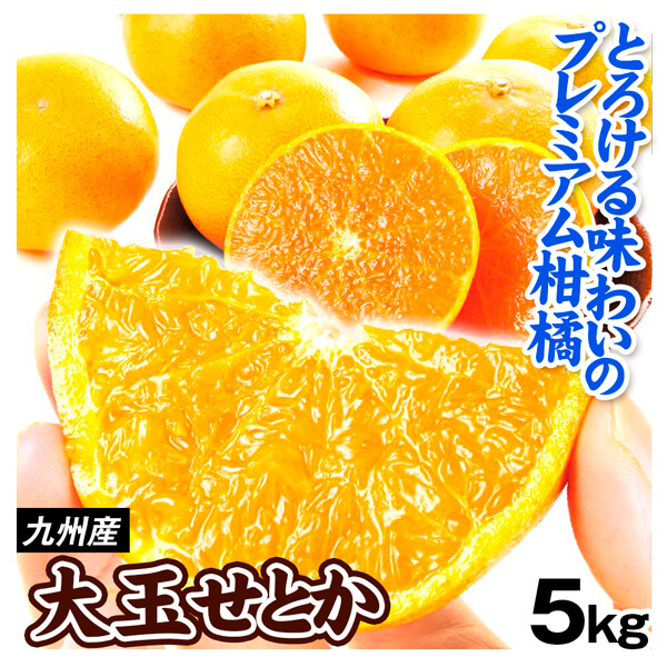 みかん 大玉せとか 5kg 九州産 せとか 大玉 柑橘 蜜柑 フルーツ 果物 送料無料 食品