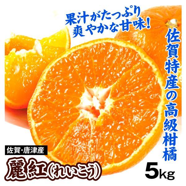 みかん 佐賀唐津産 麗紅 5kg れいこう ご家庭用 送料無料 食品