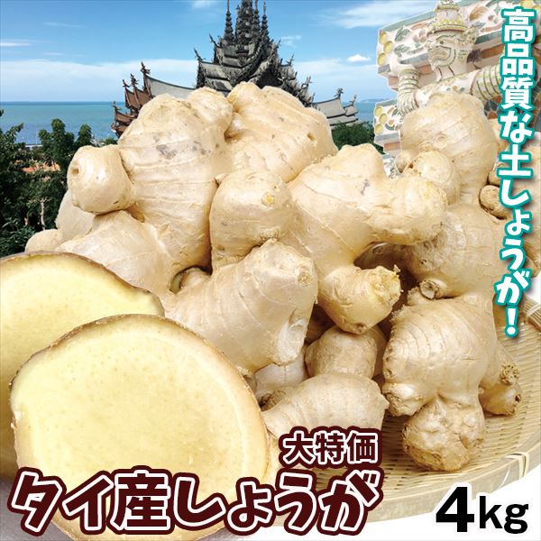 大特価 タイ産 しょうが 4kg 香味野菜 ジンジャー 送料無料 食品