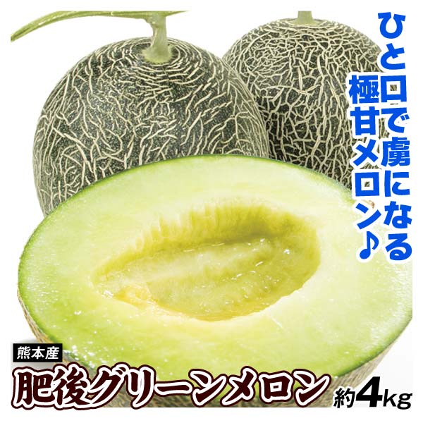 メロン 熊本産 肥後グリーンメロン 約4kg 送料無料 食品