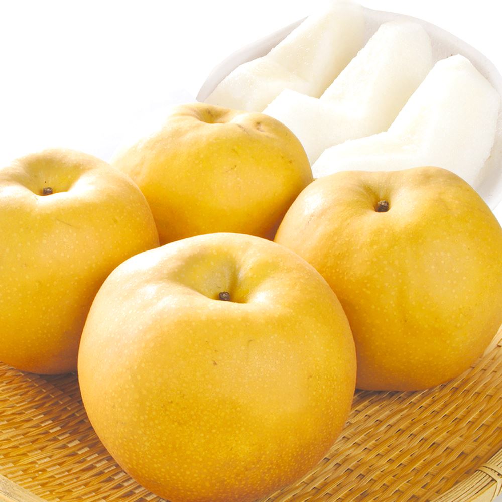 なし 約5kg 新高梨 熊本産 送料無料 食品