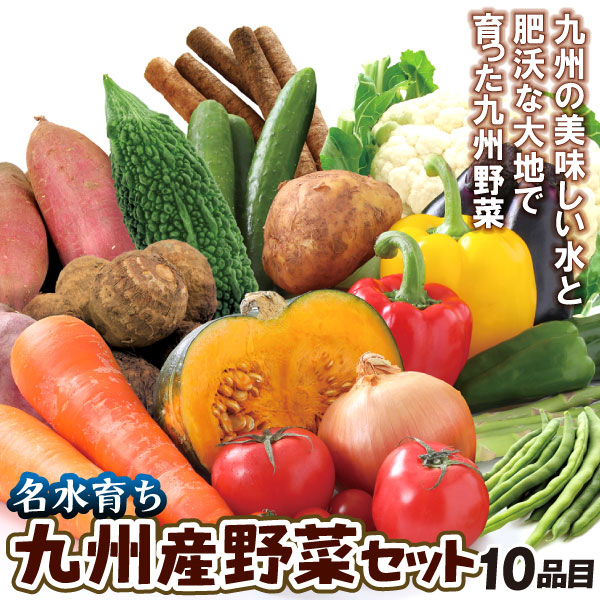 九州産 10品目の野菜セット 1箱 九州青果市 送料無料 食品