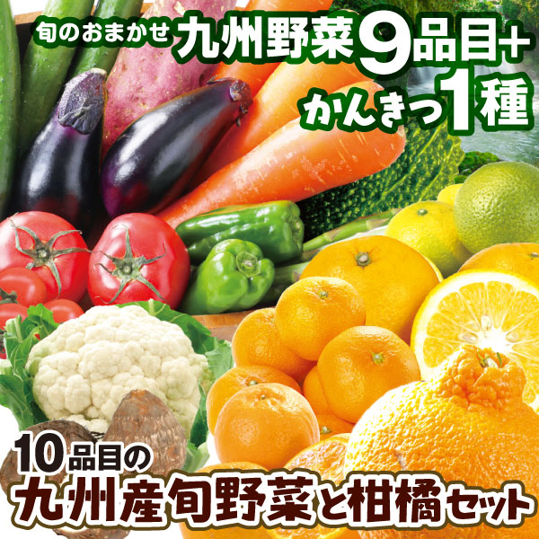 九州産 10品目の旬野菜と柑橘セット 1箱 九州青果市 送料無料 食品
