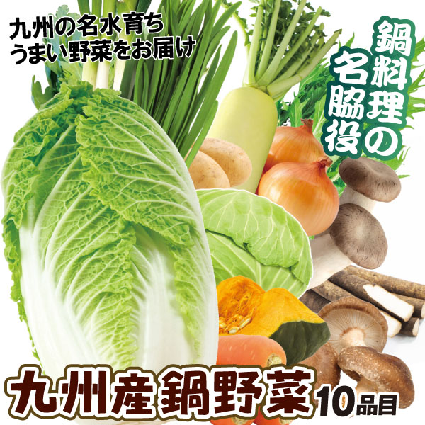 九州産 10品目の鍋用野菜セット 1箱 九州青果市 送料無料 食品