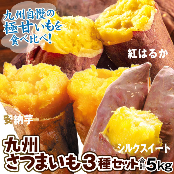 いも 九州産 さつまいも3種セット 計5kg 安納芋 紅はるか シルクスイート 送料無料 食品