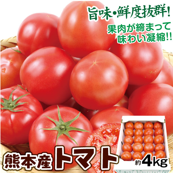 トマト 約4kg 熊本産 ご家庭用 ケース売り 送料無料 食品