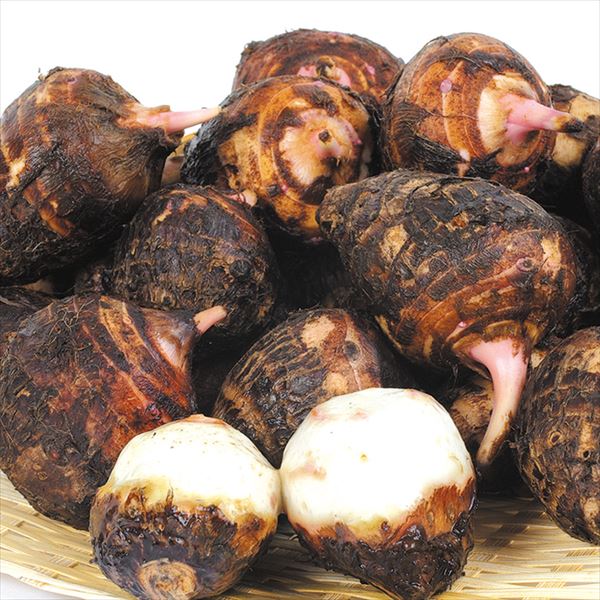 里芋 2kg 赤芽さといも 小玉 九州産 送料無料 食品