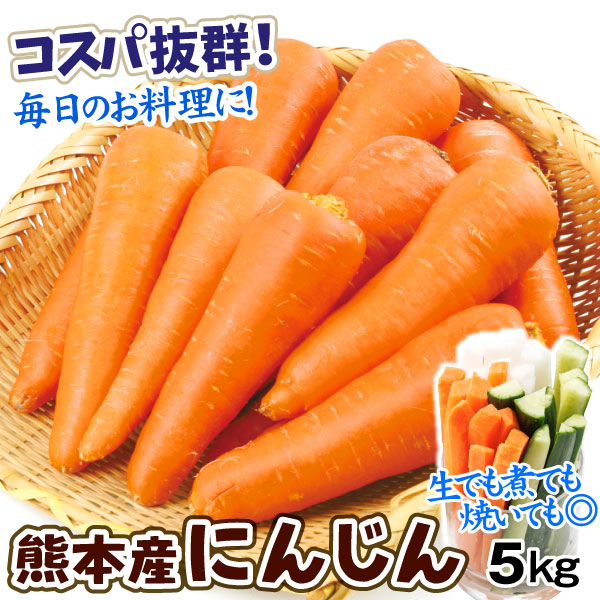 にんじん 5kg 熊本産 ご家庭用 送料無料 食品