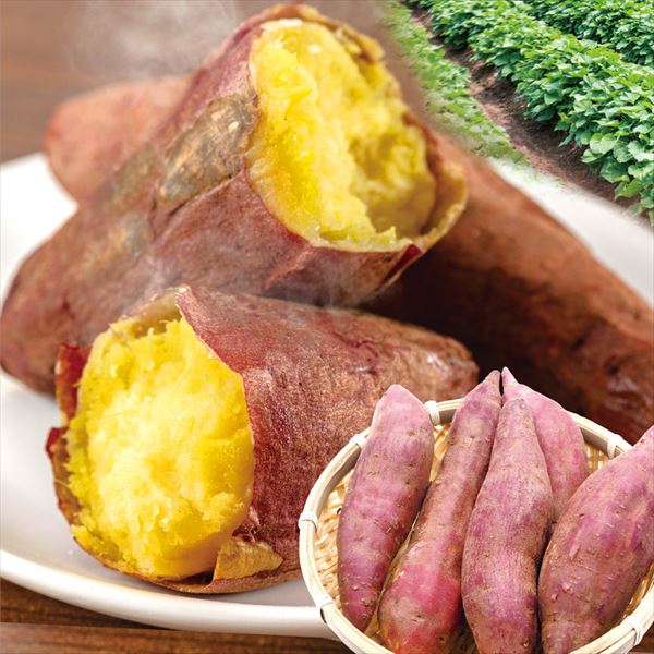 さつまいも 2kg お手頃 紅はるか 熊本産 蜜芋 送料無料 食品