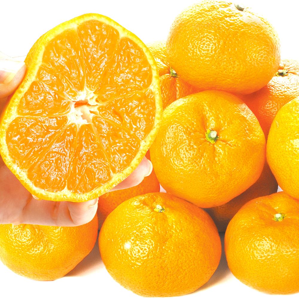 みかん 9kg 熊本産 大玉みかん ご家庭用 送料無料 食品