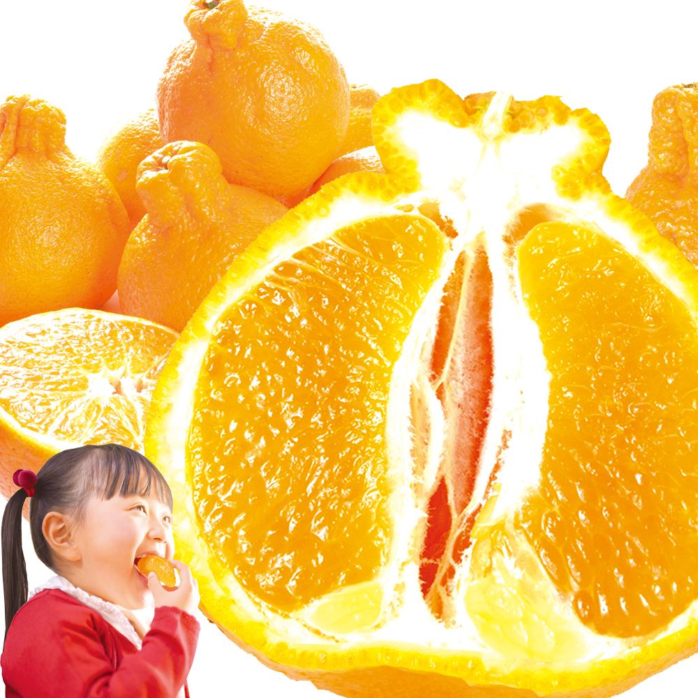 みかん 5kg 不知火オレンジ 九州産 大特価 送料無料 食品