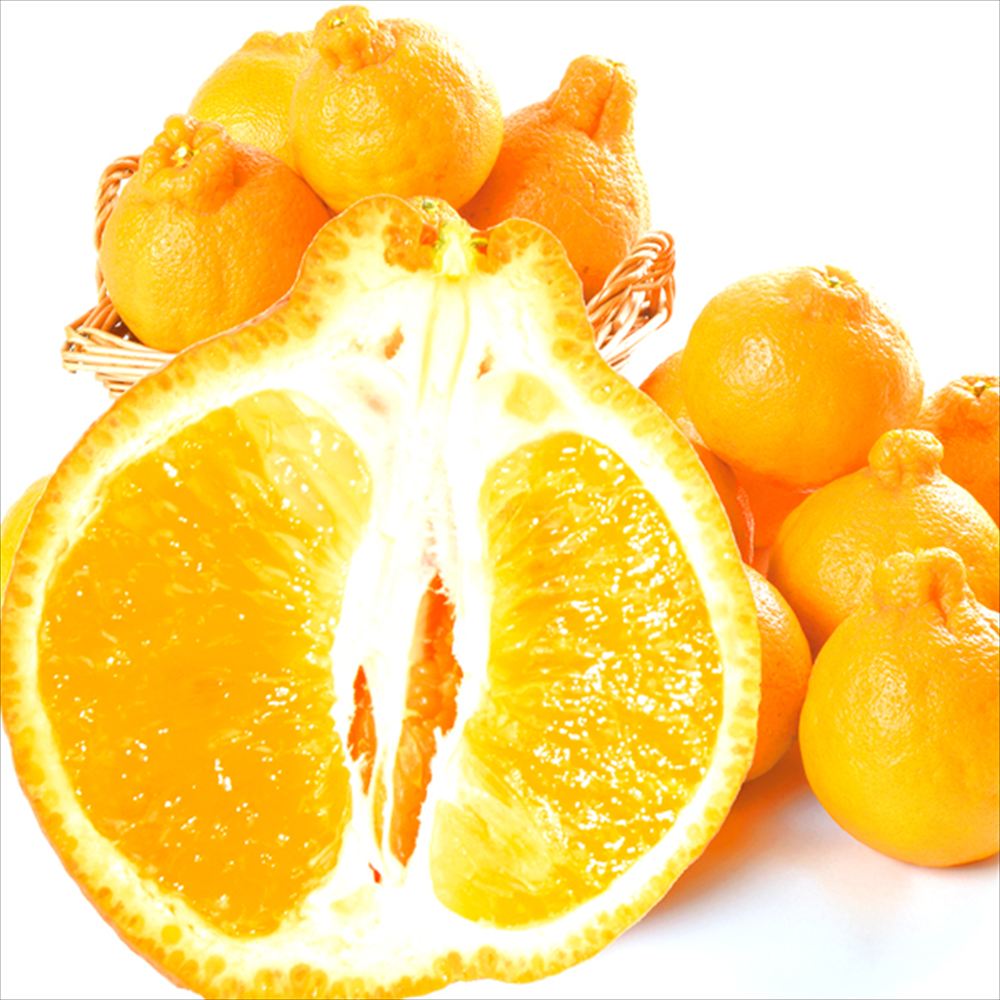 みかん 3kg 天草デコみかん 熊本産 送料無料 食品