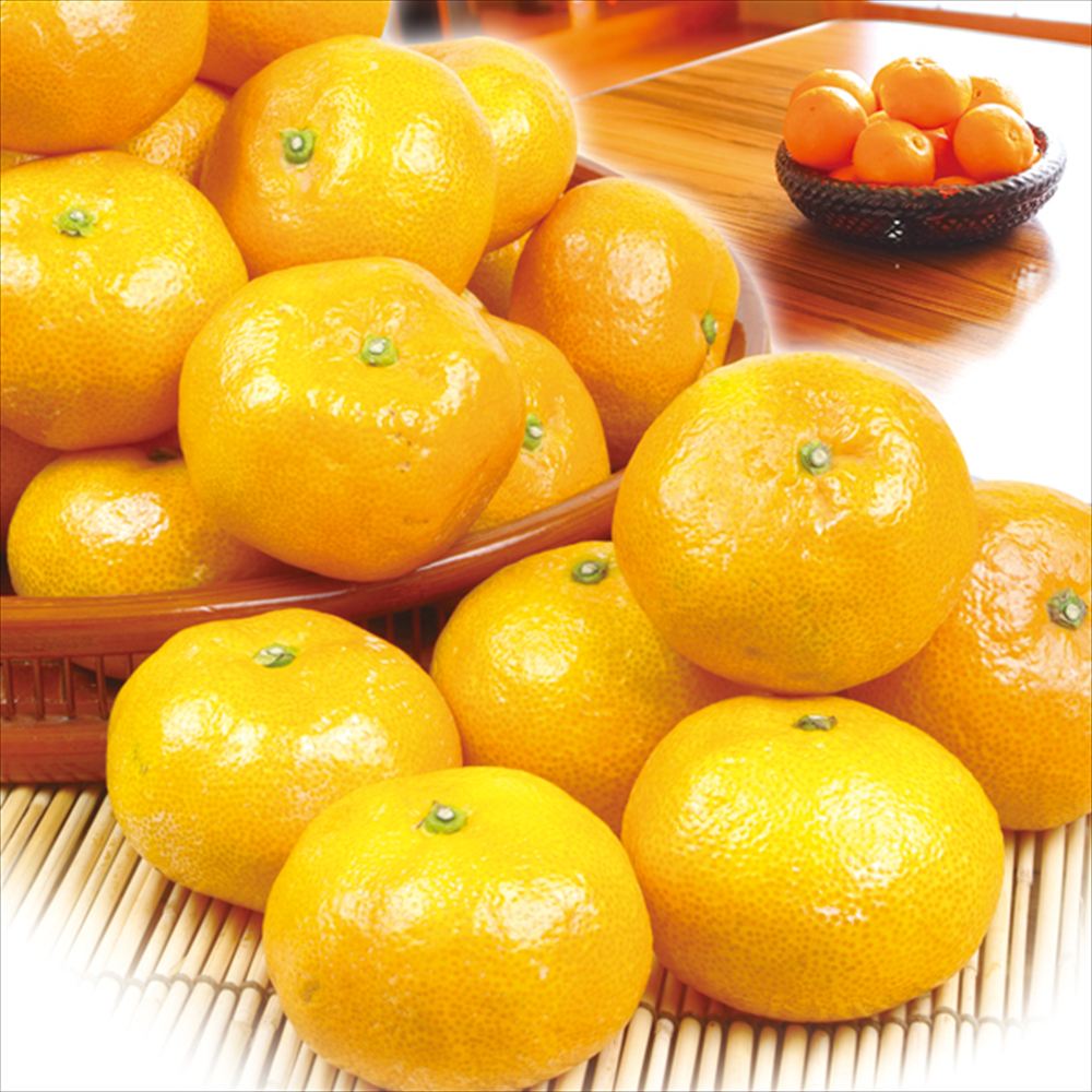 みかん 10kg こたつみかん 熊本産 送料無料 食品