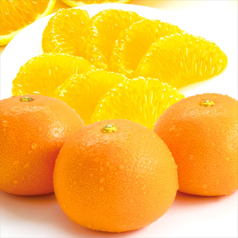 みかん 10kg 紅はっさく 熊本産 家庭用 送料無料 食品