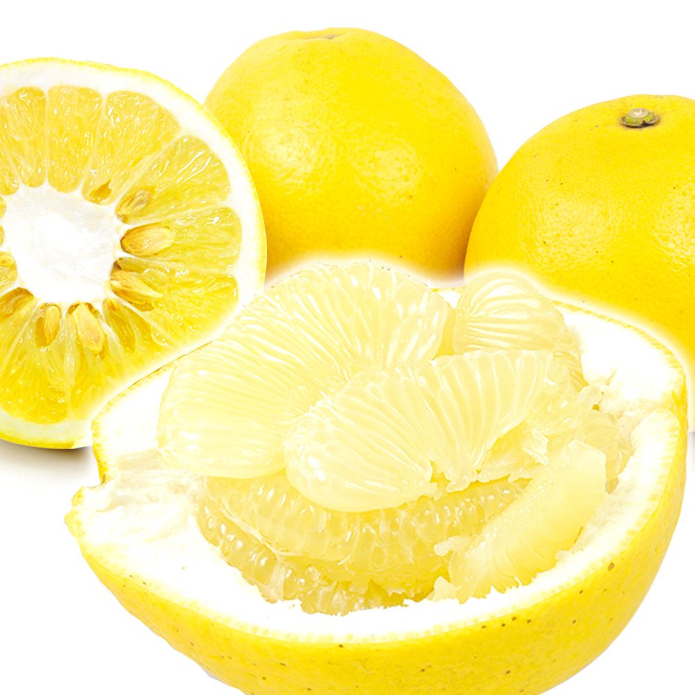 みかん 10kg パール柑 熊本産 ご家庭用 送料無料 食品