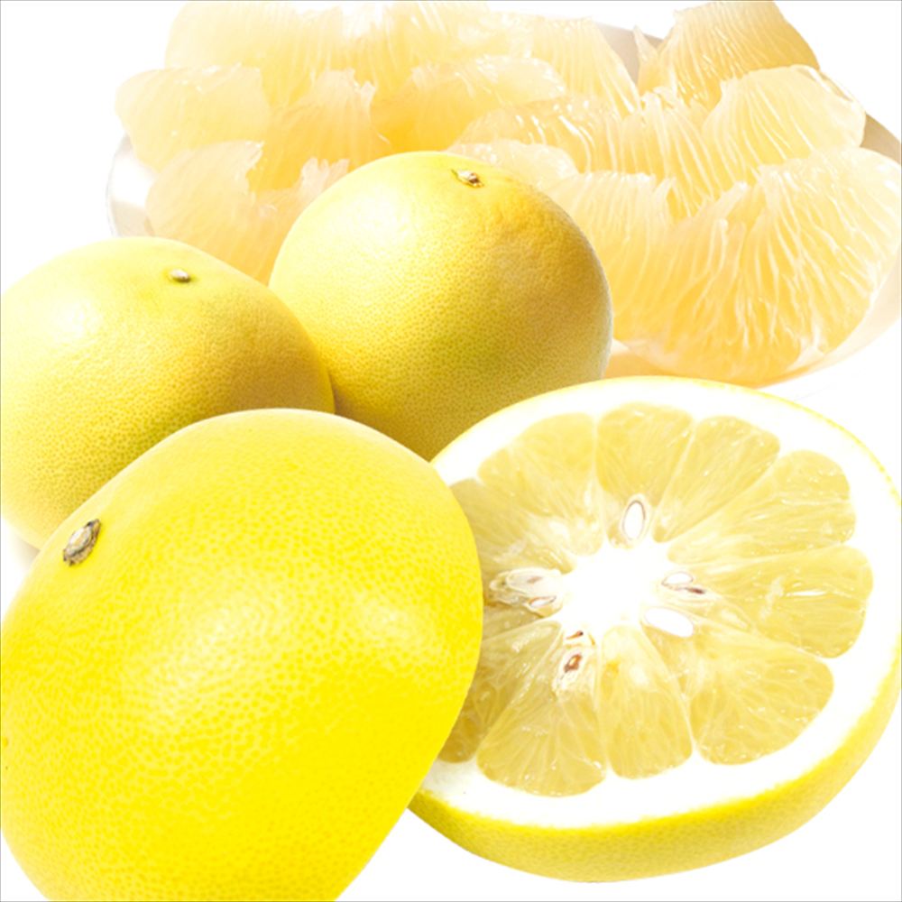 みかん 1.5kg 水晶文旦 大分産 ご家庭用 送料無料 食品