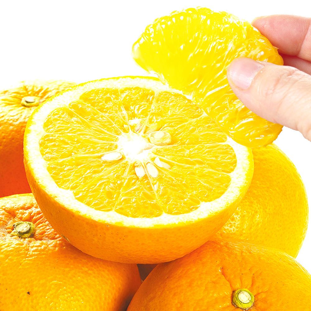 みかん 10kg 甘夏 熊本産ご家庭用　 送料無料 食品