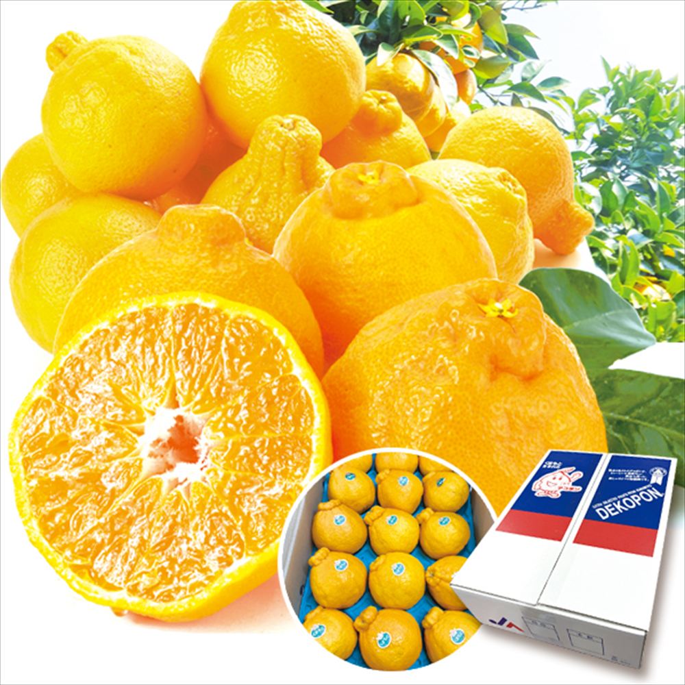 みかん 3kg デコポン 熊本産 送料無料 食品