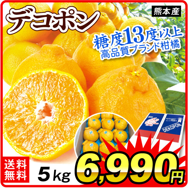 みかん 5kg デコポン 熊本産 糖度13度以上 ブランド 贈答品 不知火 オレンジ 柑橘 蜜柑 果物 フルーツ 送料無料 食品