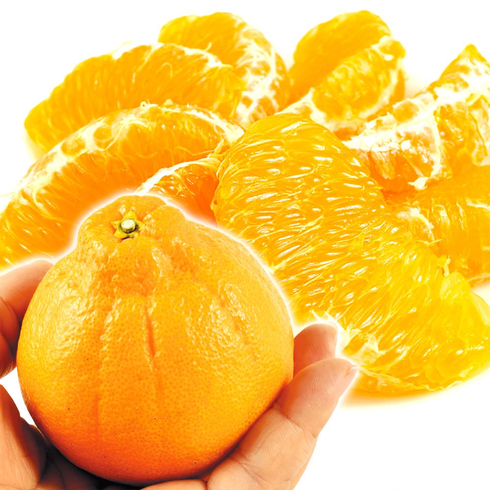 みかん 4kg ちびデコ 熊本産 不知火オレンジ 小玉 送料無料 食品