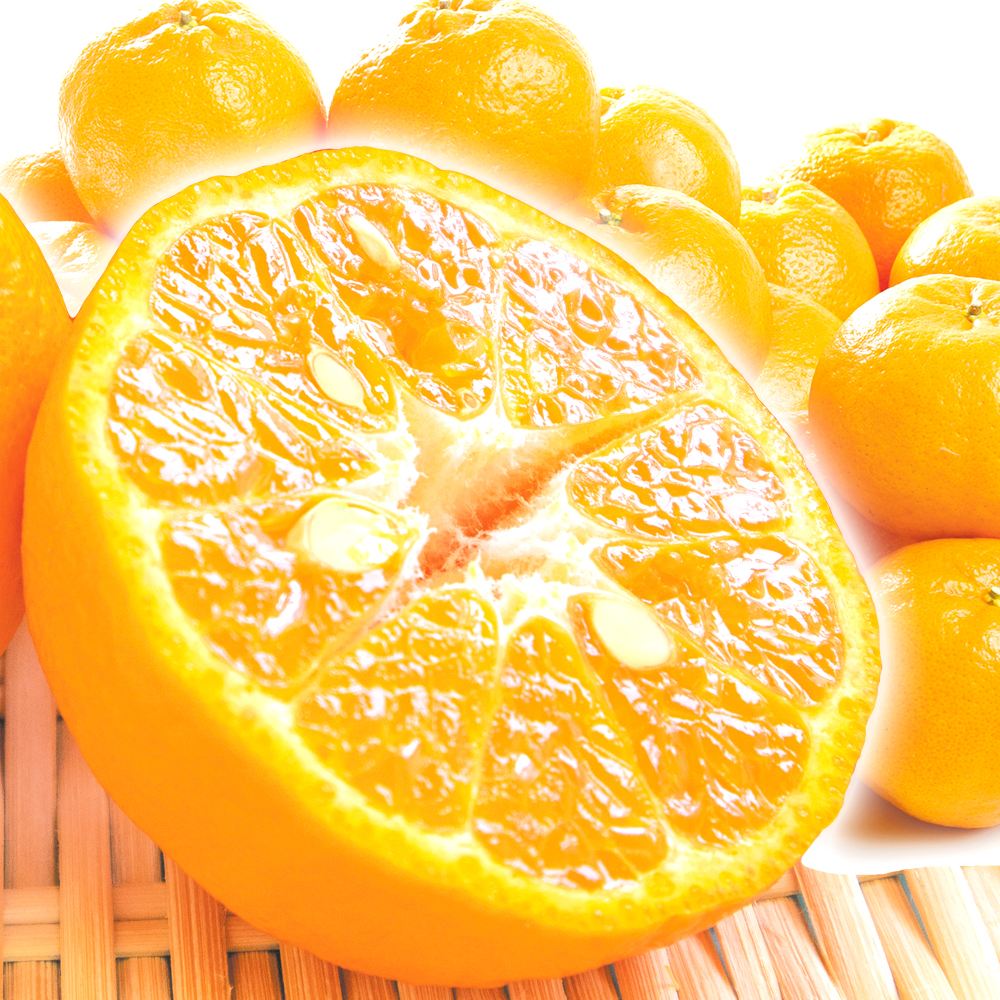 みかん 10kg ポンカン 九州産 ご家庭用 送料無料 食品