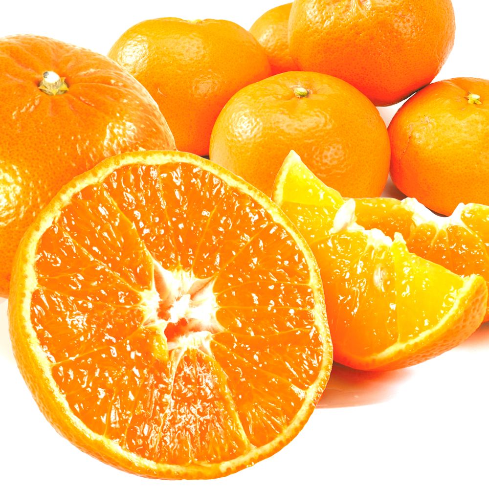 みかん 5kg 麗紅 佐賀唐津産 送料無料 食品