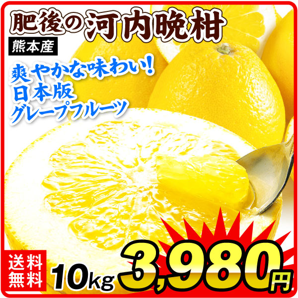 みかん 10kg 肥後の河内晩柑 熊本産 河内晩柑 柑橘 果物 フルーツ 送料無料 食品