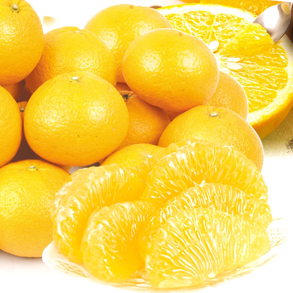 みかん 10kg 木熟甘夏 熊本産 ご家庭用 送料無料 食品