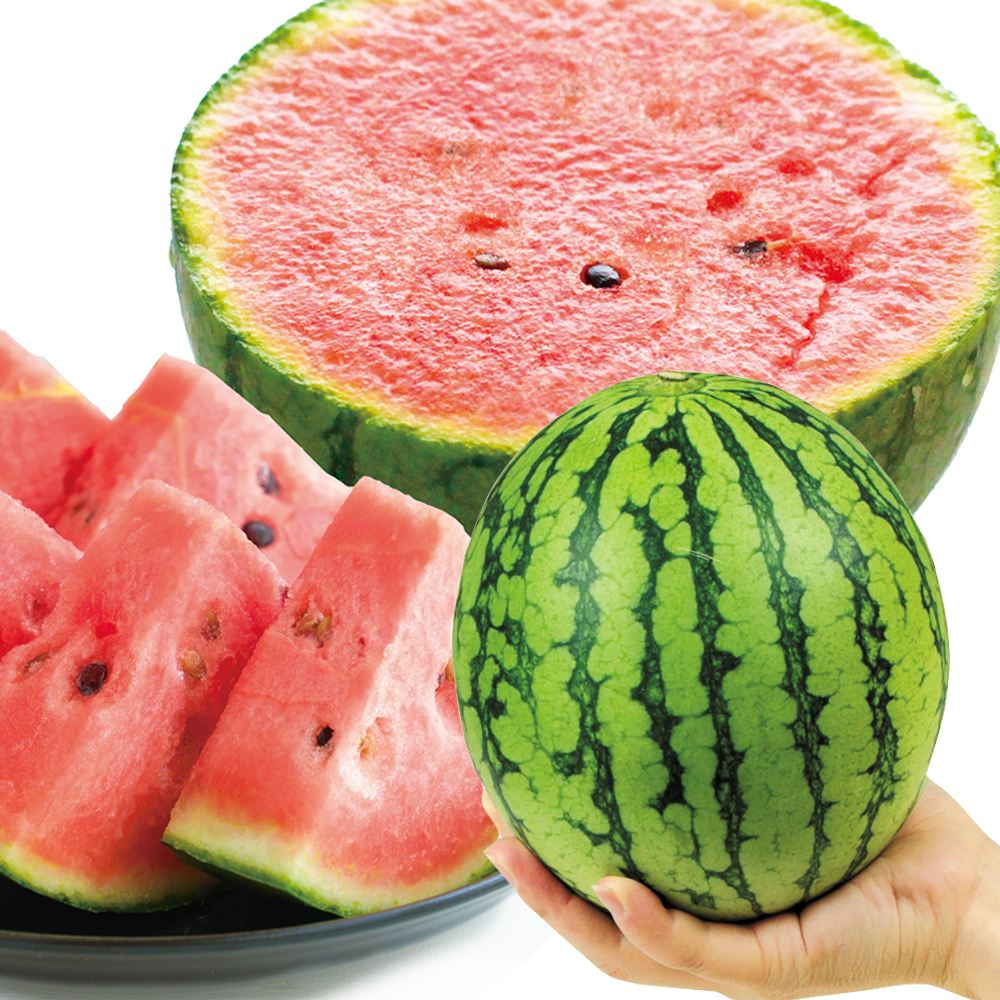 スイカ 4kg 植木の小玉すいか 熊本産 送料無料 食品