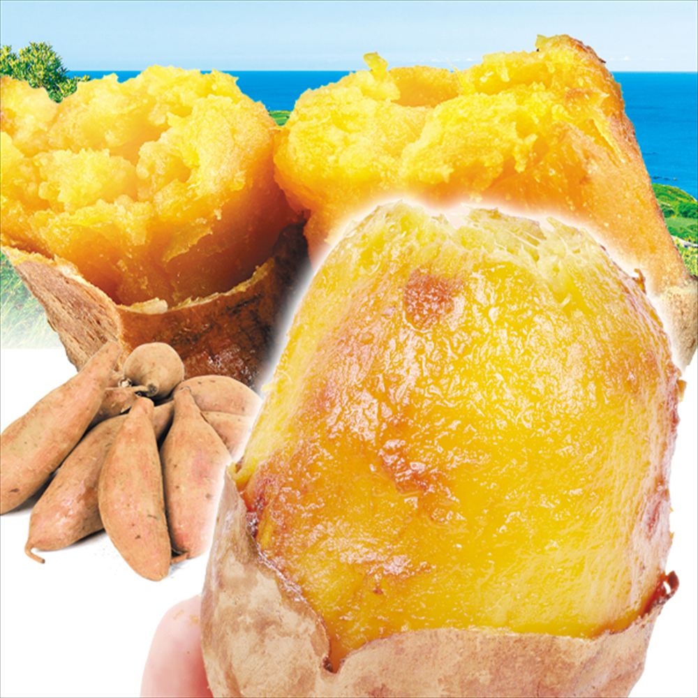 さつまいも 2kg 安納芋 種子島産 送料無料 食品