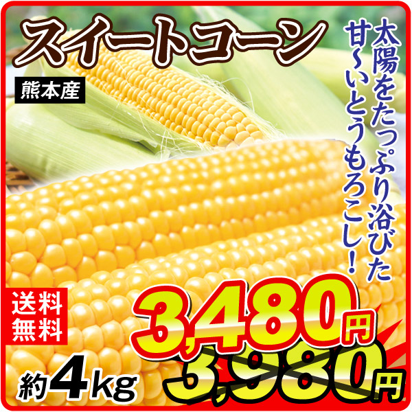 とうもろこし 4㎏ 大特価 スイートコーン 熊本産 冷蔵便 野菜 送料無料 食品