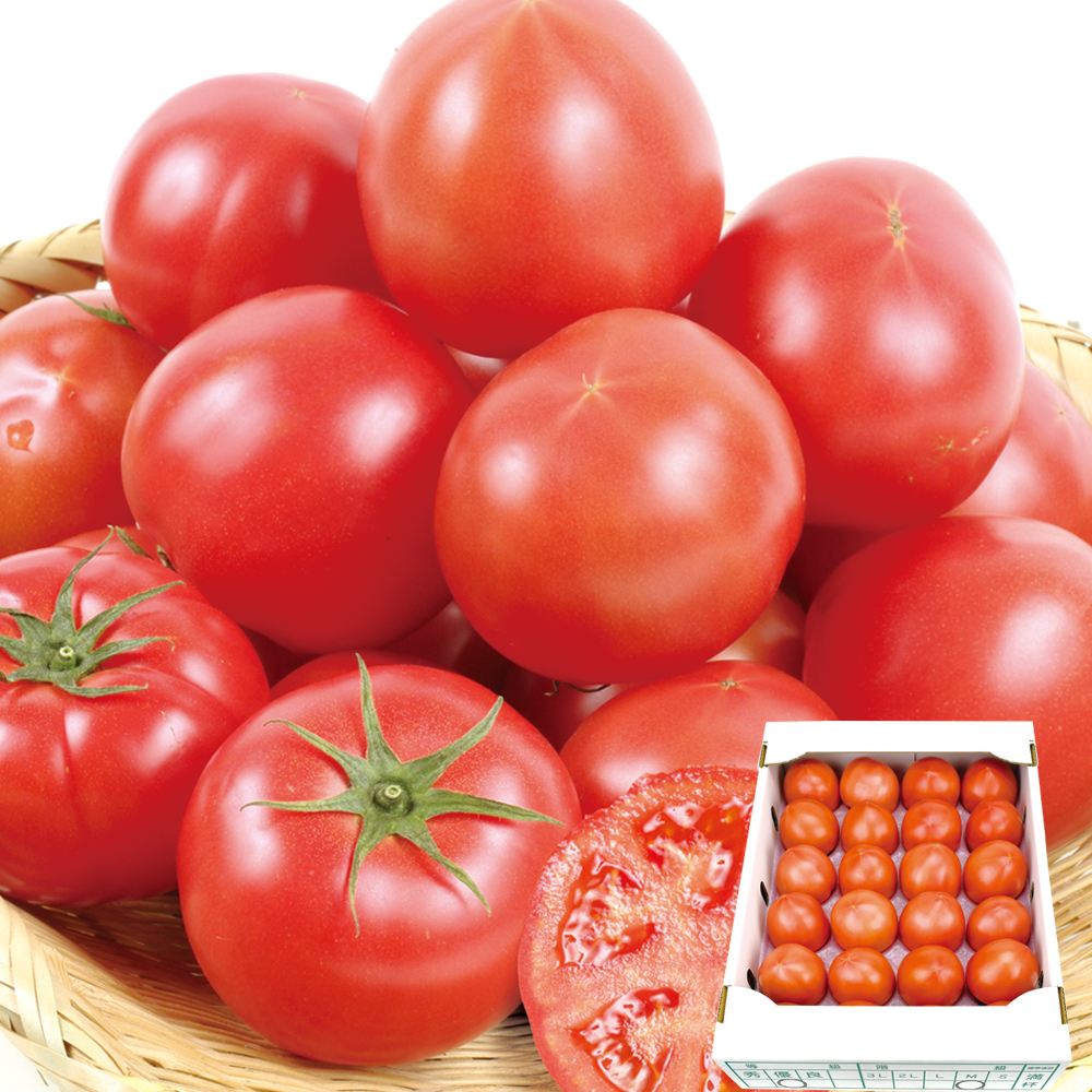 トマト 約4kg 熊本産 ご家庭用 送料無料 食品