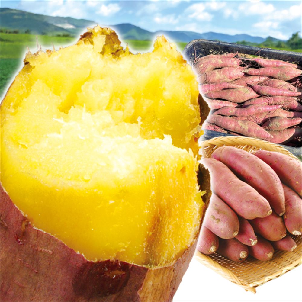 さつまいも 10kg 紅はるか 超特価 宮崎産 送料無料 食品