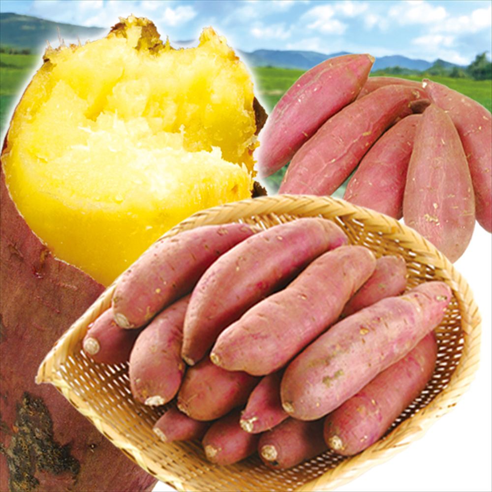 さつまいも 15kg 紅はるか大好きセット 宮崎産 （紅はるか10kg、シルクスイート5kg） 送料無料 食品