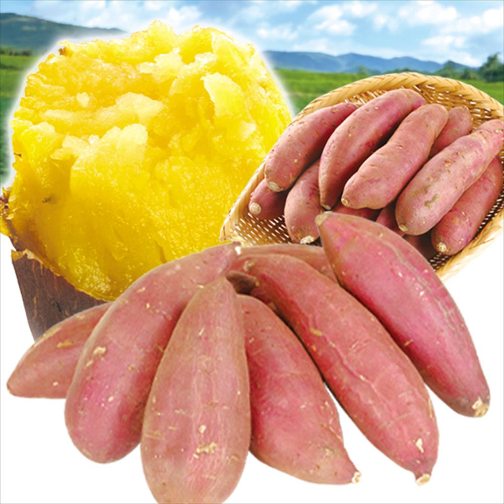 さつまいも 15kg シルクスイート大好きセット 宮崎産 （シルクスイート10kg、紅はるか5kg） 送料無料 食品