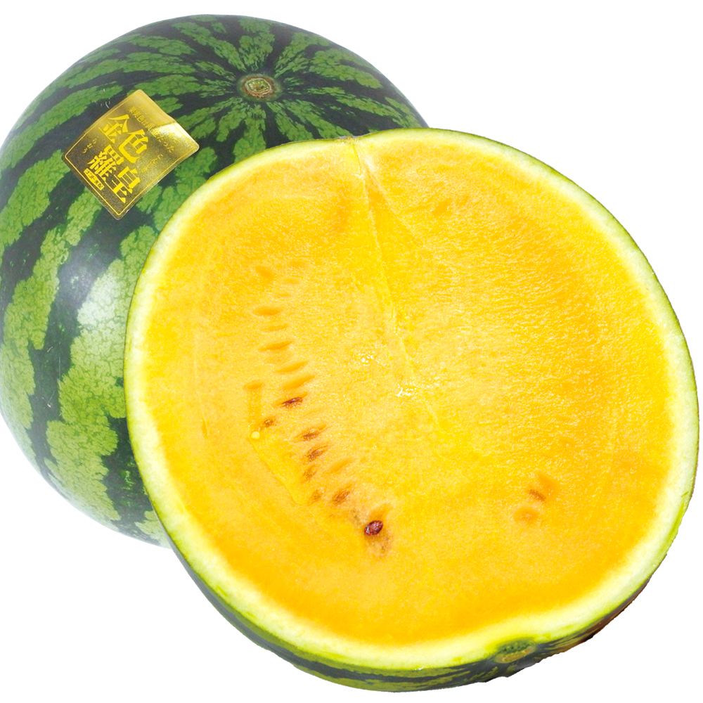 スイカ 1玉 金色羅皇 熊本産 送料無料 食品