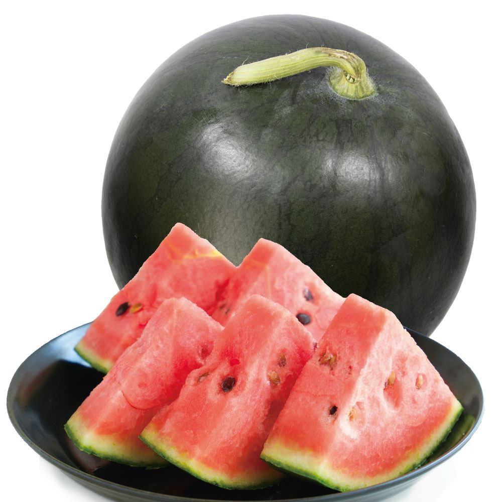 スイカ 3玉 ひとりじめBonBon 黒皮小玉すいか 熊本産 送料無料 食品