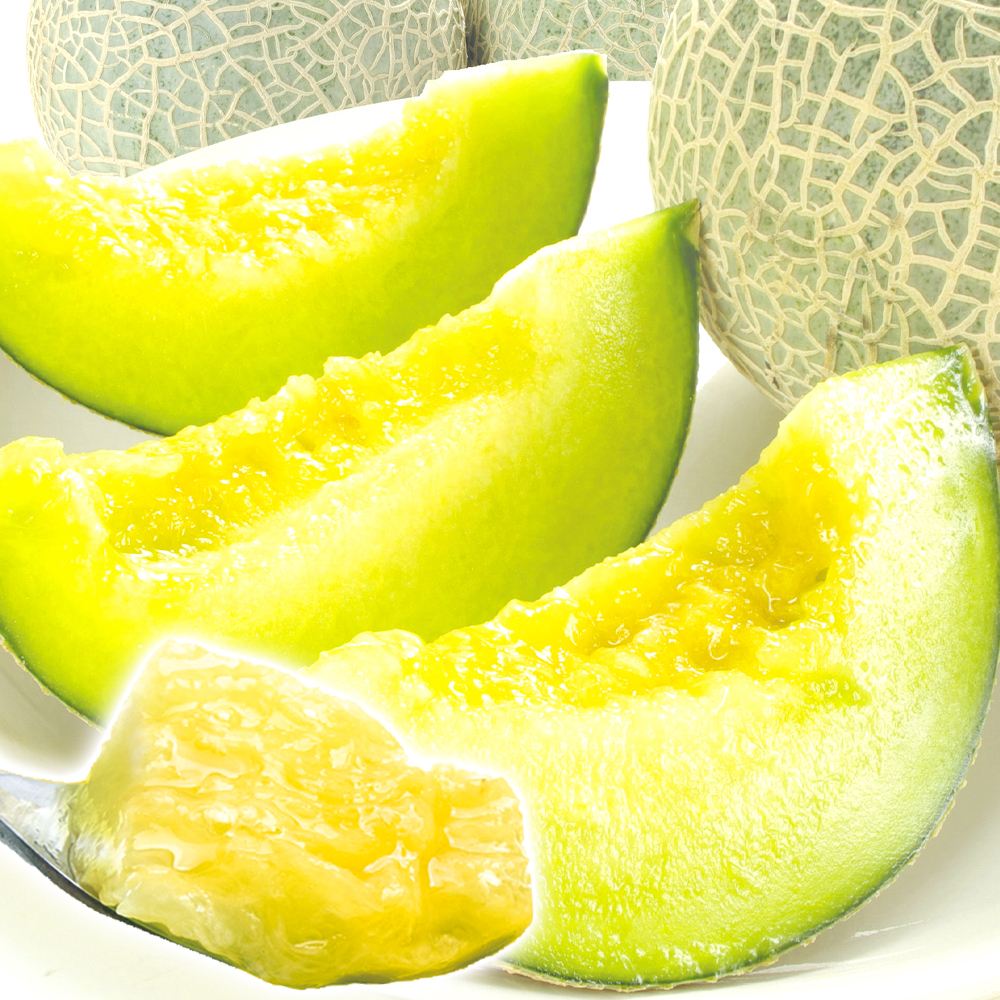 メロン 4kg アンデスメロン ご家庭用 熊本産 送料無料 食品