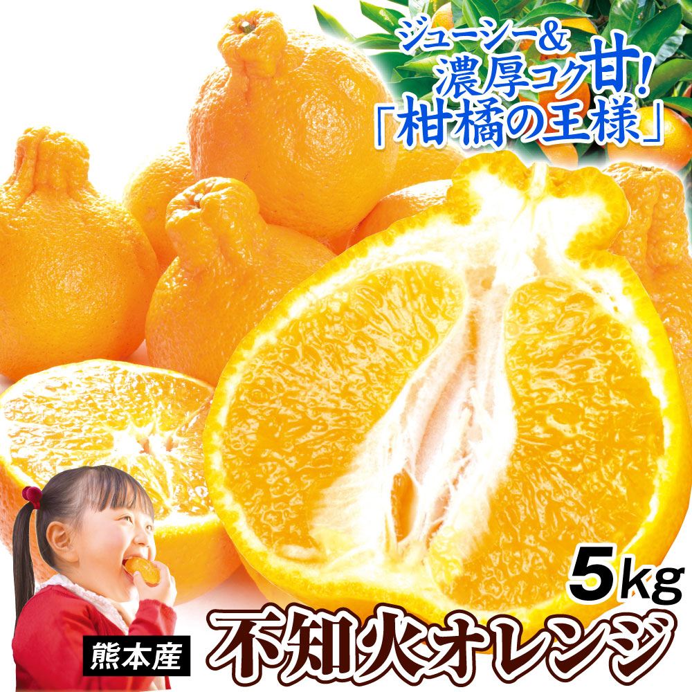みかん 5kg 不知火オレンジ 大特価 熊本産 送料無料 食品