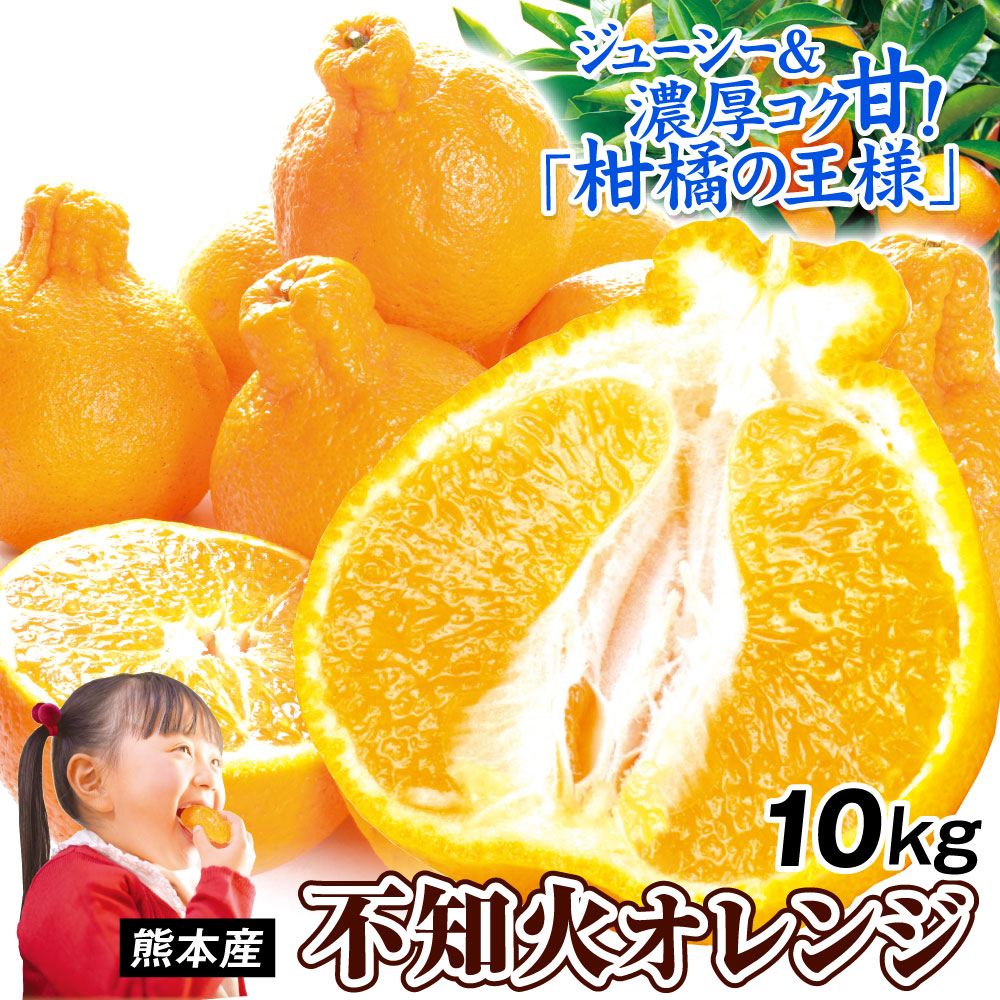 みかん 10kg 不知火オレンジ 大特価 熊本産 送料無料 食品
