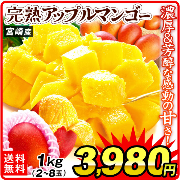 マンゴー 1kg ふぞろいアップルマンゴー 宮崎産 送料無料 食品